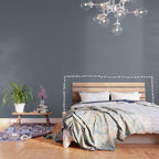 Cool Tone Grey II Solid Color Wallpaper Gallery Image 3