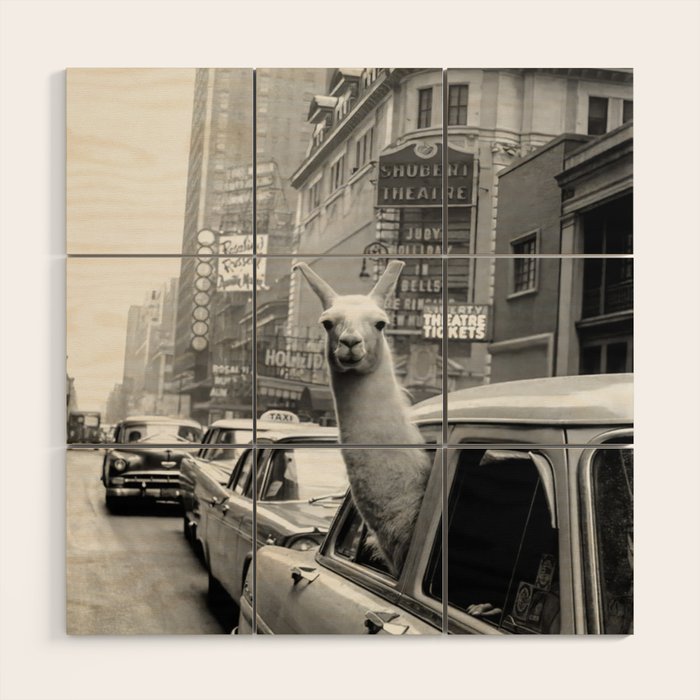 Llama Riding In Taxi Wood Wall Art Gallery Image 1