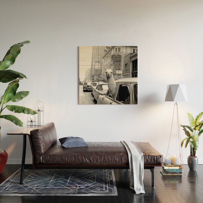 Llama Riding In Taxi Wood Wall Art Gallery Image 2