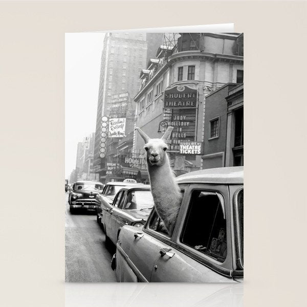 Llama Riding In Taxi Stationery Card Gallery Image 2
