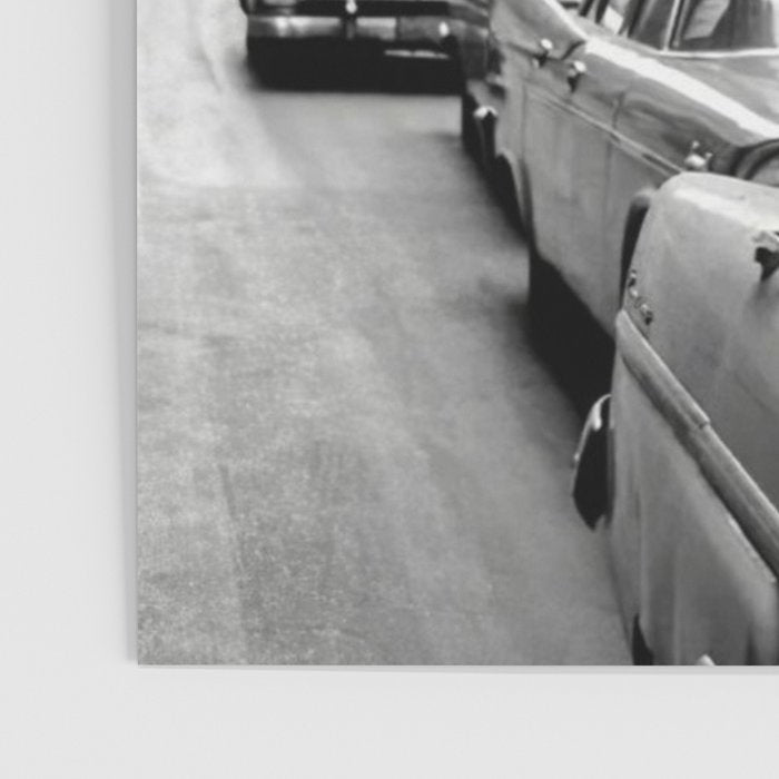 Llama Riding In Taxi Poster Gallery Image 3