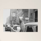 Llama Riding In Taxi Welcome Mat Gallery Image 1