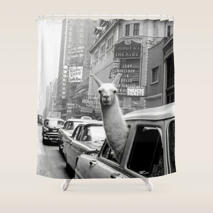 Llama Riding In Taxi Shower Curtain Gallery Image 1