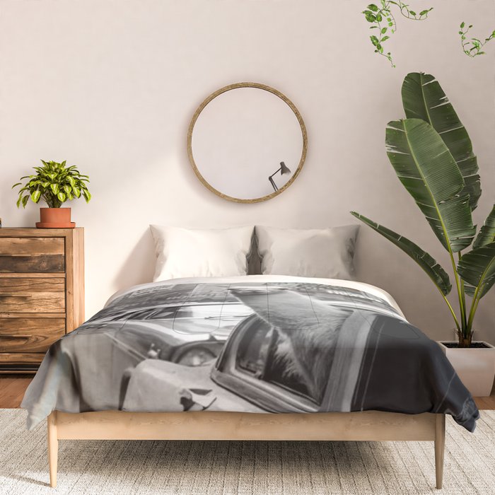 Llama Riding In Taxi Comforter Gallery Image 3