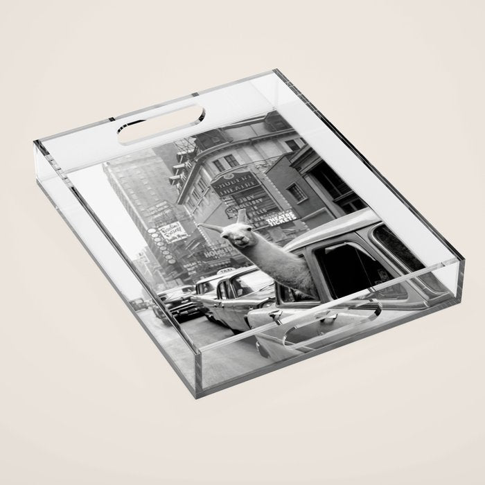 Llama Riding In Taxi Acrylic Tray Gallery Image 1