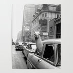 Llama Riding In Taxi Poster Gallery Image 4