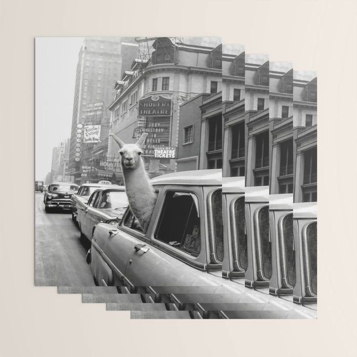 Llama Riding In Taxi Wrapping Paper Gallery Image 3