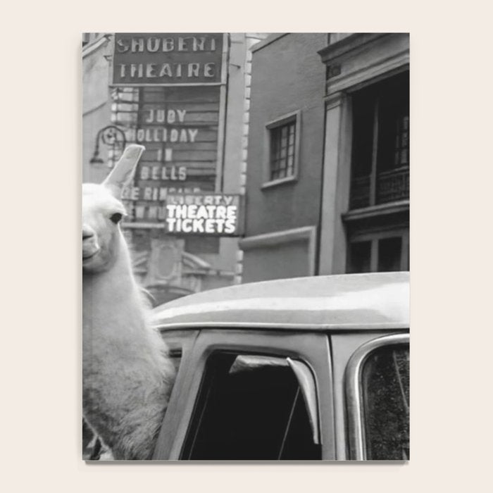 Llama Riding In Taxi Notebook Gallery Image 4