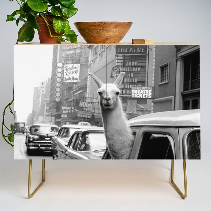 Llama Riding In Taxi Credenza Gallery Image 1