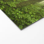 Dreaming of Appalachia - Nature Photography Digital Landscape Welcome Mat Gallery Image 2