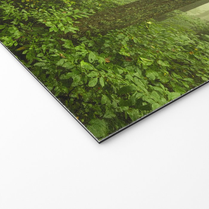 Dreaming of Appalachia - Nature Photography Digital Landscape Welcome Mat Gallery Image 2