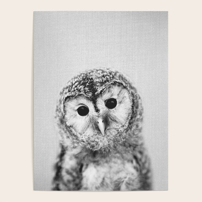 Baby Owl - Black & White Poster Gallery Image 1