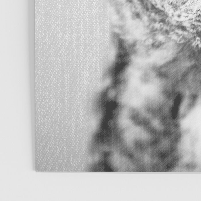 Baby Owl - Black & White Poster Gallery Image 3