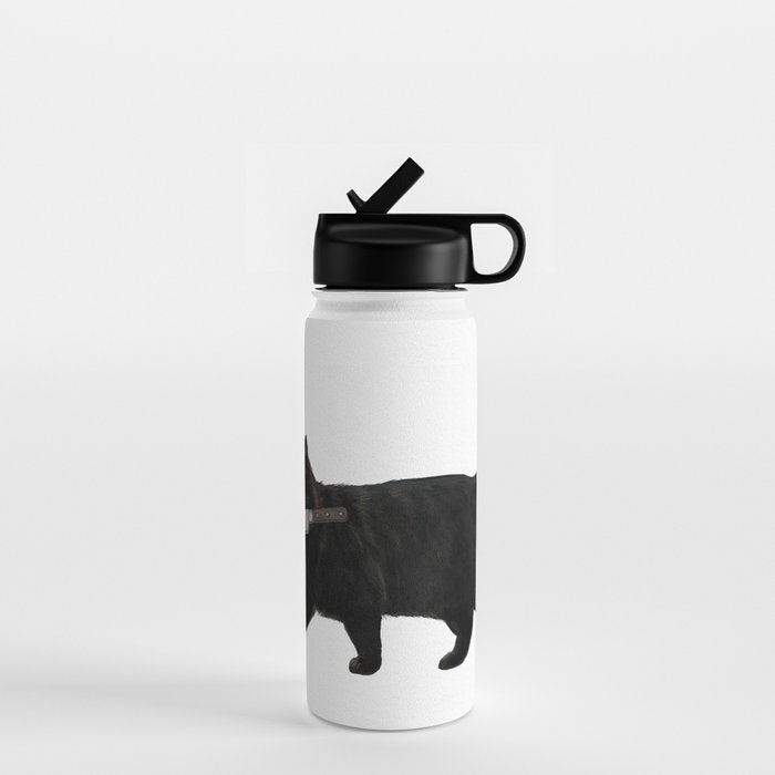 Knife Cat Water Bottle Gallery Image 1