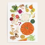 Autumn Fruits & Vegetables Poster Gallery Image 4