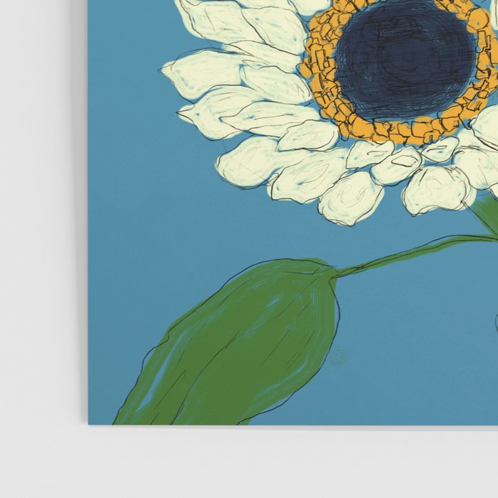 Sunflower Blue Sami Poster Gallery Image 3