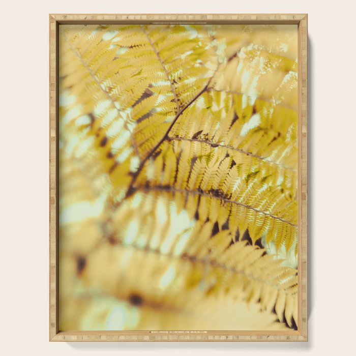 Fern Serving Tray Gallery Image 1