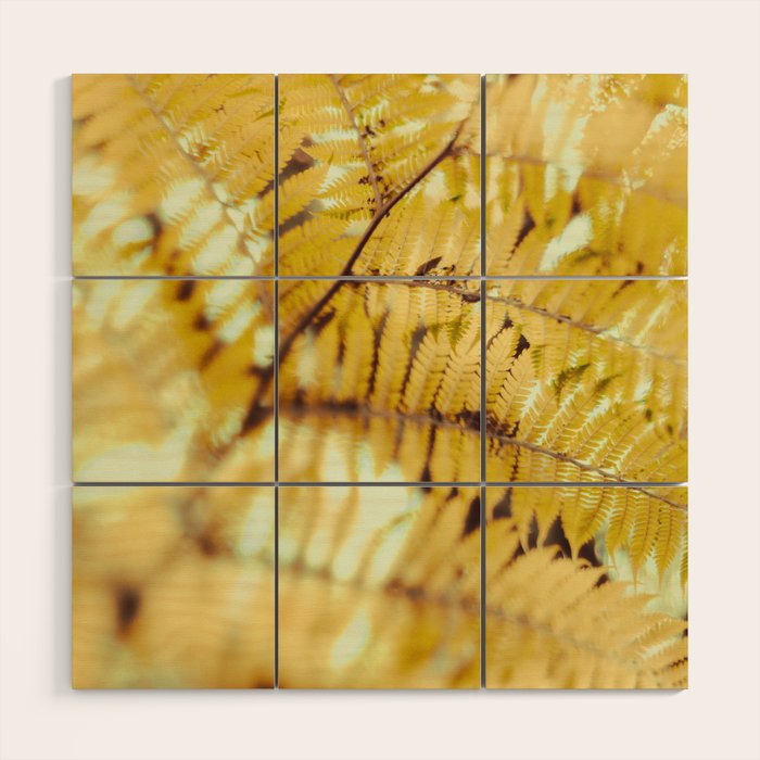 Fern Wood Wall Art Gallery Image 1