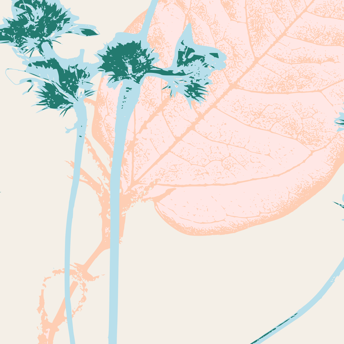 Plant based happyness Herb 1 still life Coffee Mug Gallery Image 2