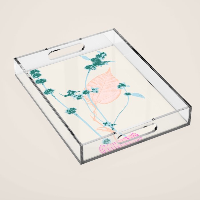 Plant based happyness Herb 1 still life Acrylic Tray Gallery Image 1