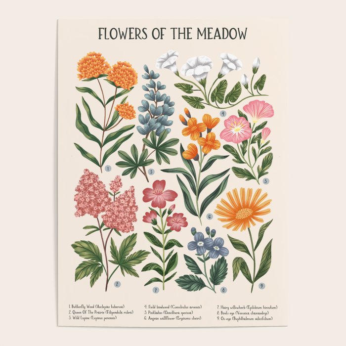 Flowers of the Meadow - beige Poster Gallery Image 1