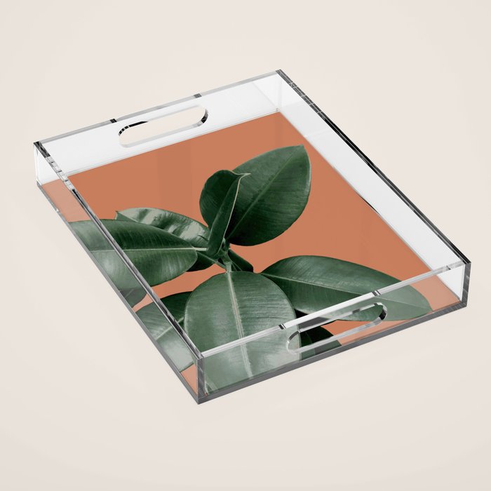 Decorum V4 Acrylic Tray Gallery Image 1