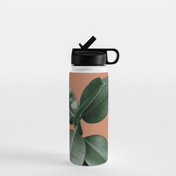 Decorum V4 Water Bottle Gallery Image 1