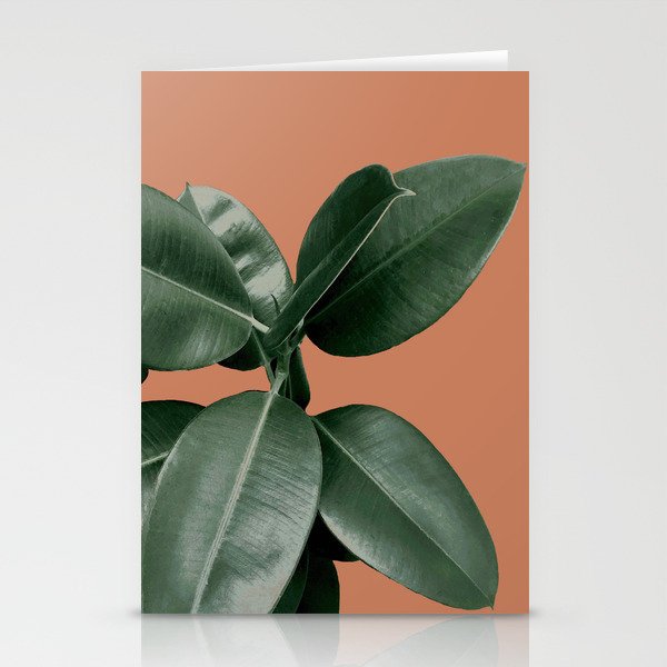 Decorum V4 Stationery Card Gallery Image 1