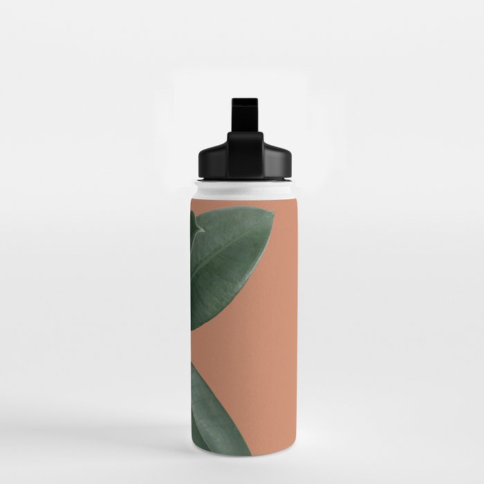 Decorum V4 Water Bottle Gallery Image 2