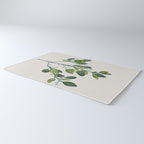 Eucalyptus Branch Rug Gallery Image 3