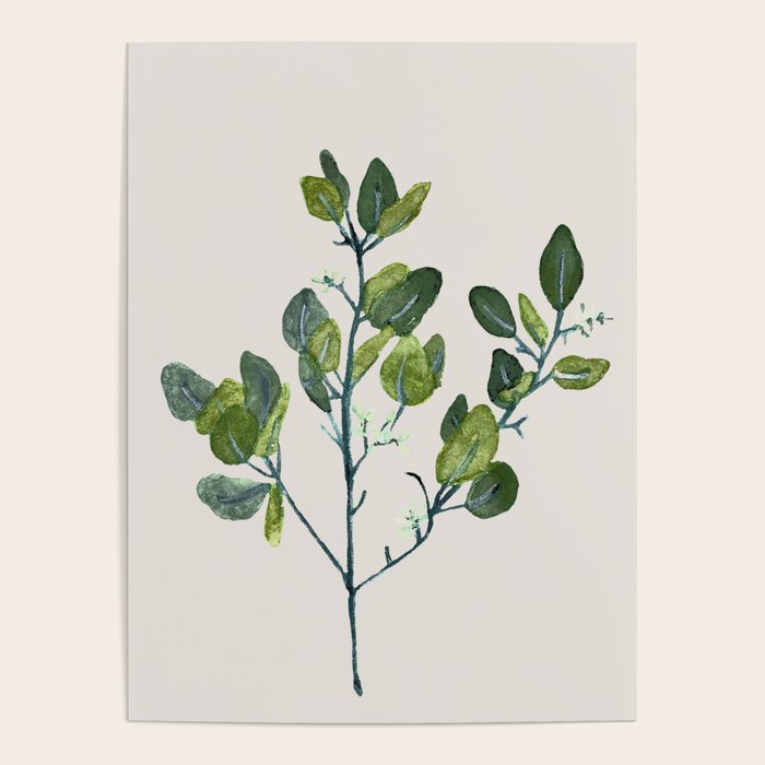 Eucalyptus Branch Poster Gallery Image 4