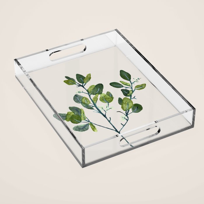 Eucalyptus Branch Acrylic Tray Gallery Image 1
