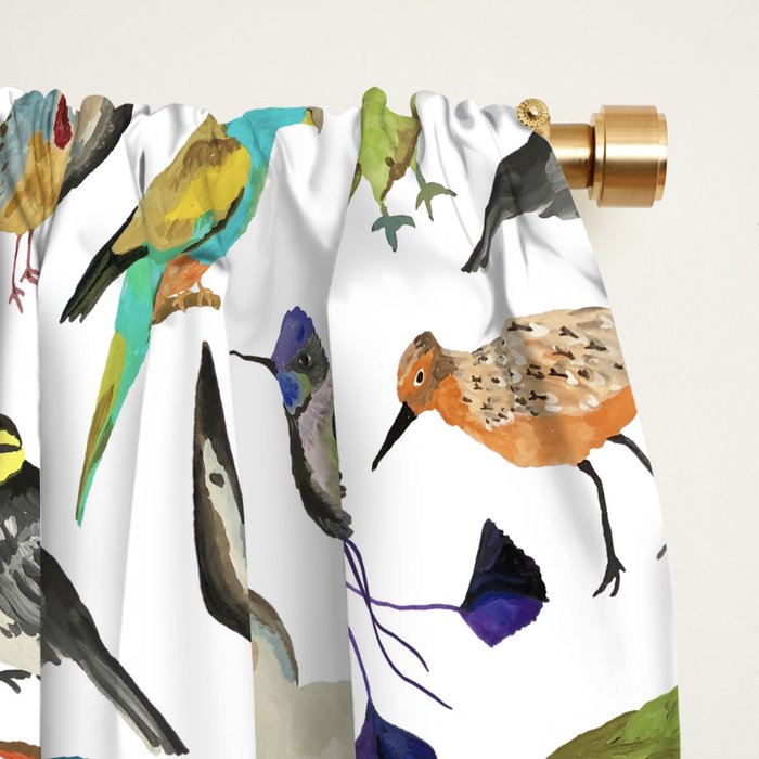 Endangered Birds Around the World Window Curtain Gallery Image 2