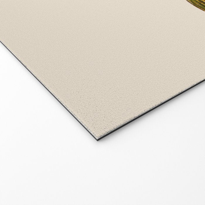The Brown Trout Welcome Mat Gallery Image 2