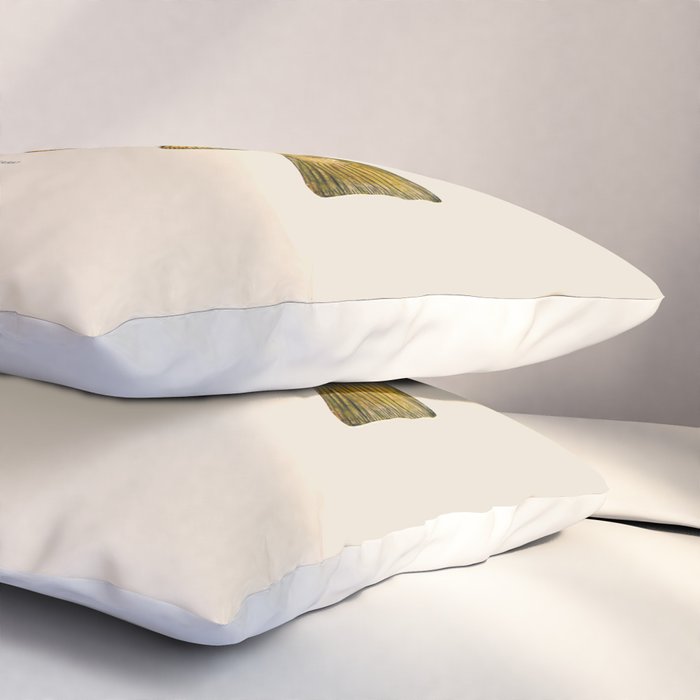 The Brown Trout Pillow Sham Gallery Image 3