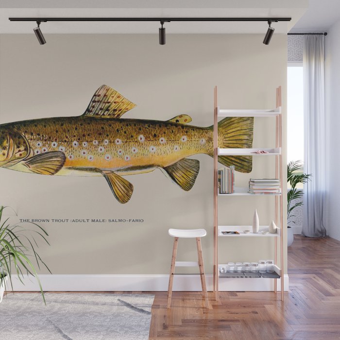 The Brown Trout Wall Mural Gallery Image 1