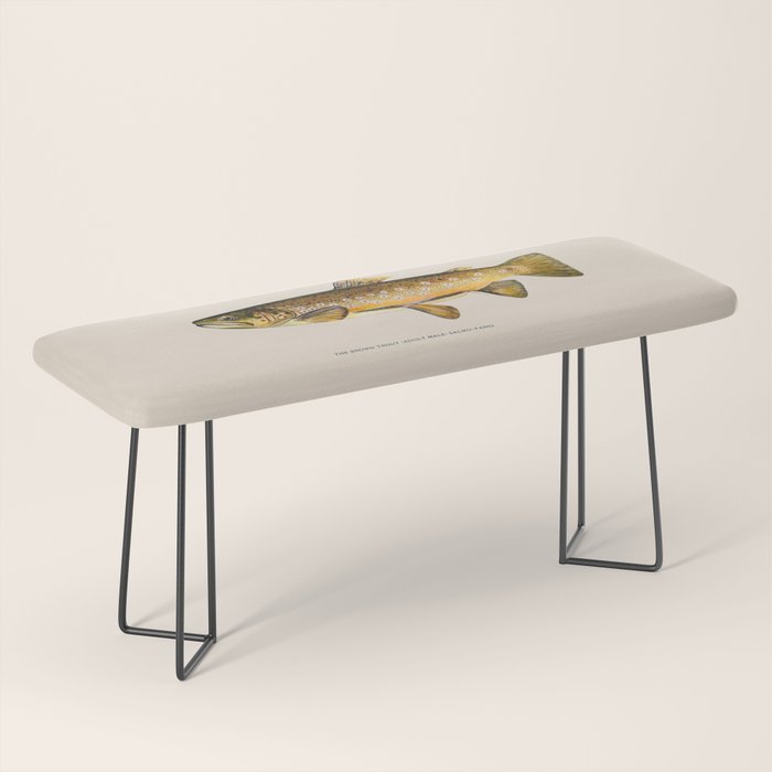 The Brown Trout Bench Gallery Image 1