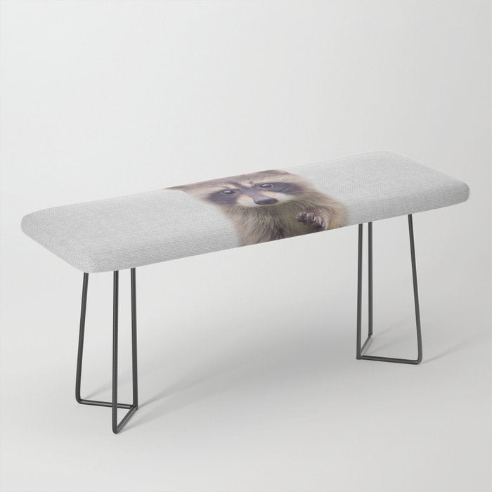 Raccoon - Colorful Bench Gallery Image 1