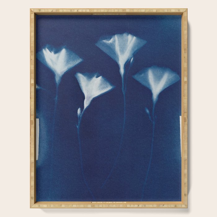 Magic in the Ordinary #3 Serving Tray Gallery Image 1