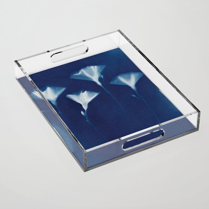 Magic in the Ordinary #3 Acrylic Tray Gallery Image 1