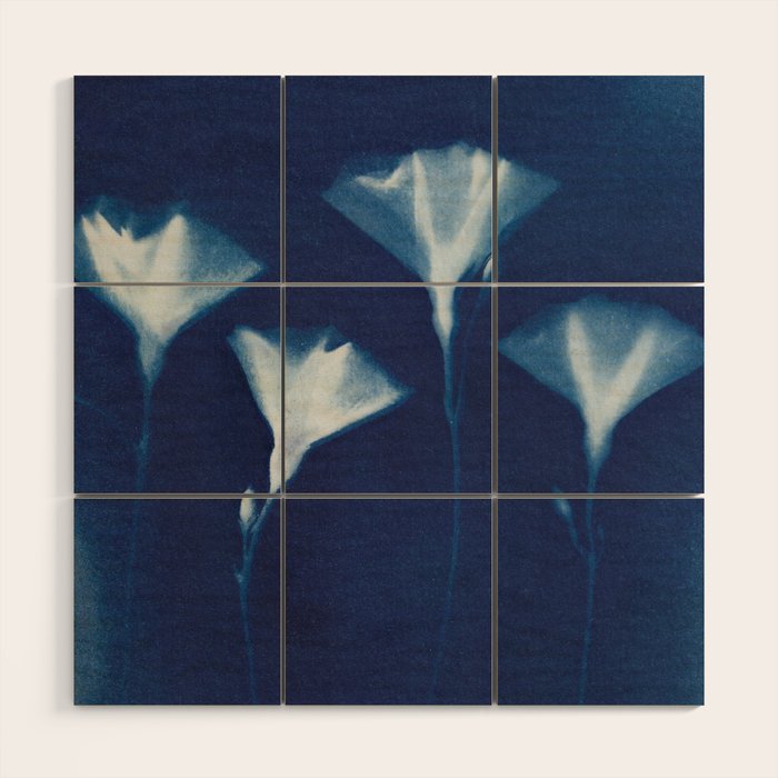 Magic in the Ordinary #3 Wood Wall Art Gallery Image 1