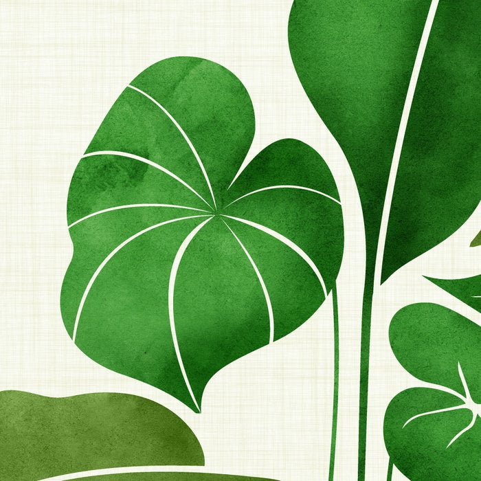 Cacophony Plant Illustration Coffee Mug Gallery Image 2