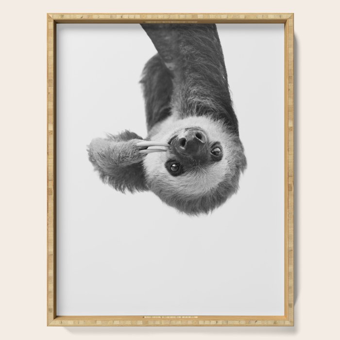 Sloth Serving Tray Gallery Image 1