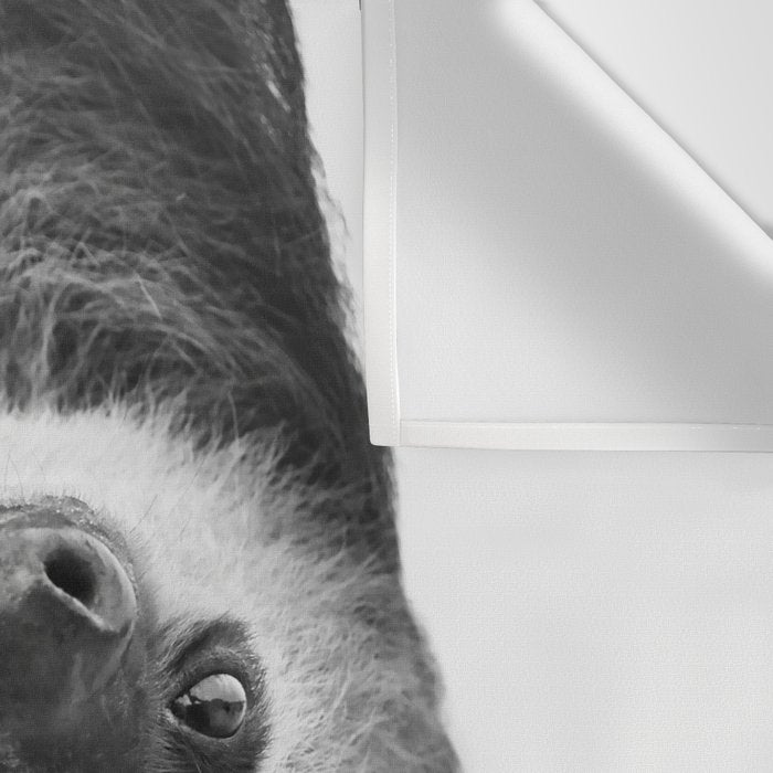 Sloth Wall Tapestry Gallery Image 3
