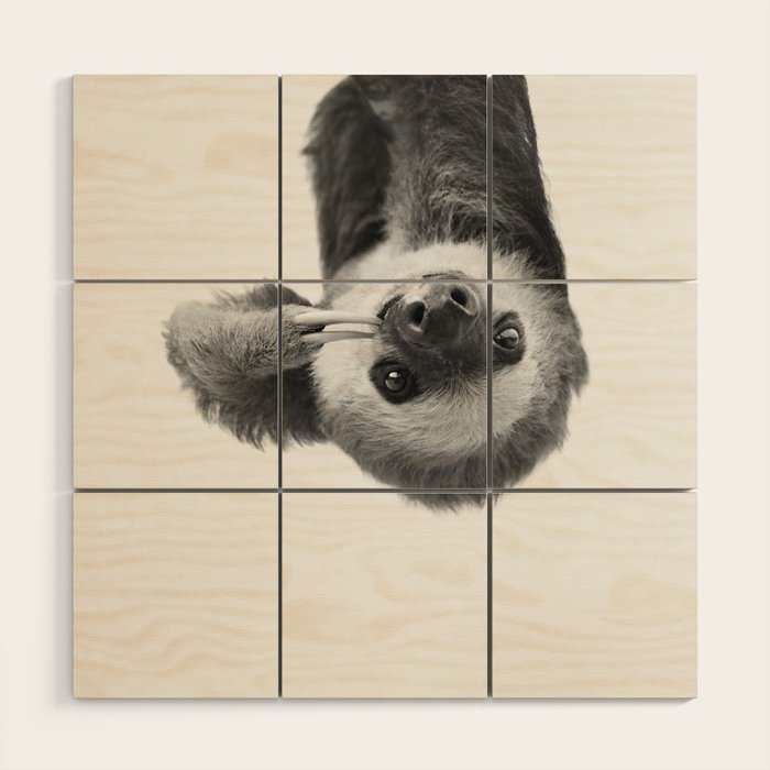 Sloth Wood Wall Art Gallery Image 1