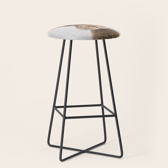 Rabbit - Colorful Stool Gallery Image 1