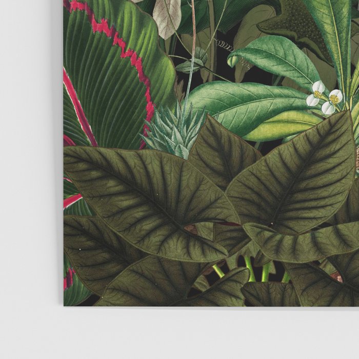 Midnight Vintage Exotic Flower And Birds Garden Jungle Poster Gallery Image 3