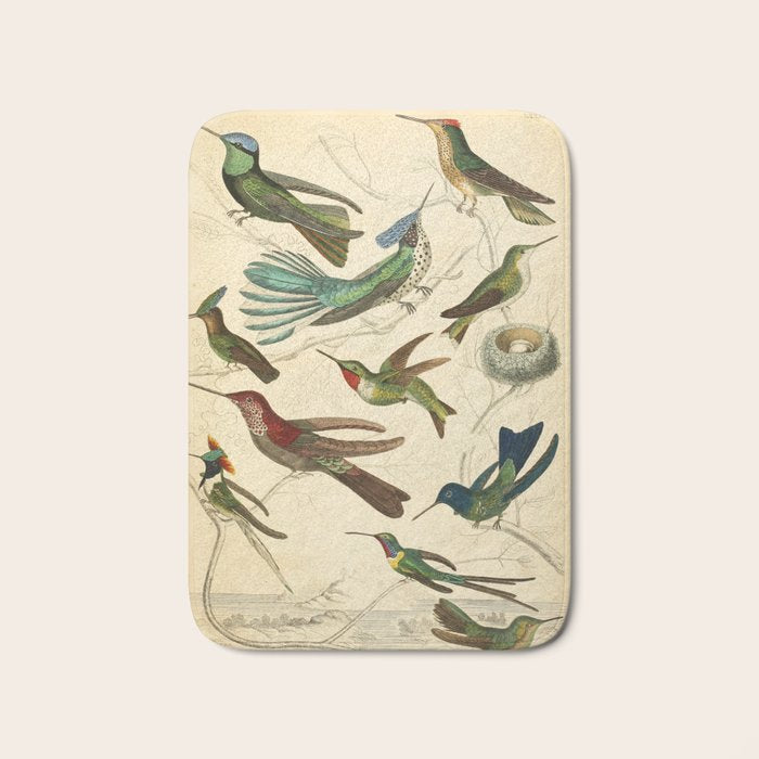 Hummingbirds from The Edinburgh Journal, 1835 (benefitting The Nature Conservancy) Bath Mat Gallery Image 1