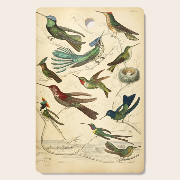Hummingbirds from The Edinburgh Journal, 1835 (benefitting The Nature Conservancy) Cutting Board Gallery Image 1
