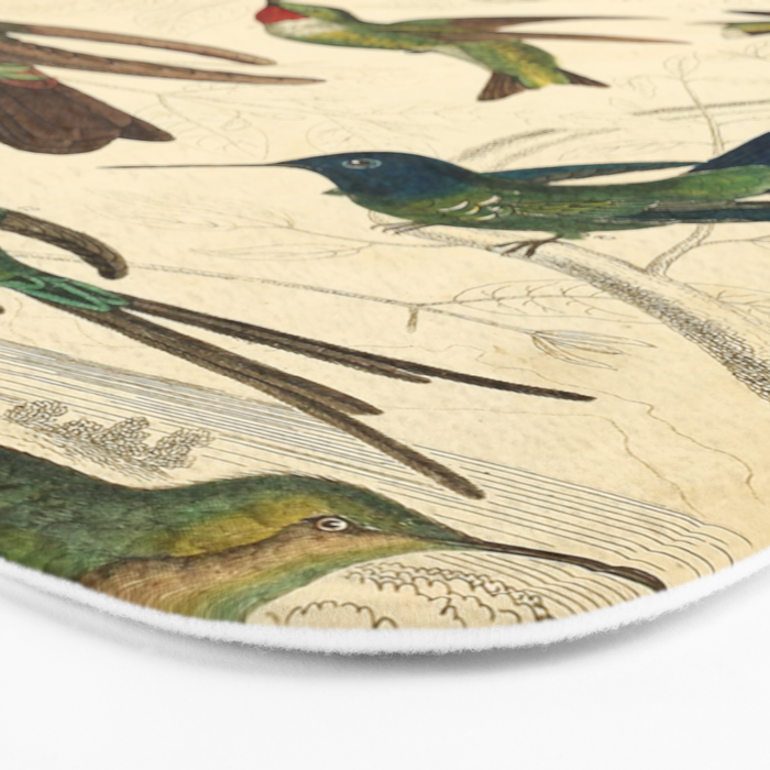 Hummingbirds from The Edinburgh Journal, 1835 (benefitting The Nature Conservancy) Bath Mat Gallery Image 3